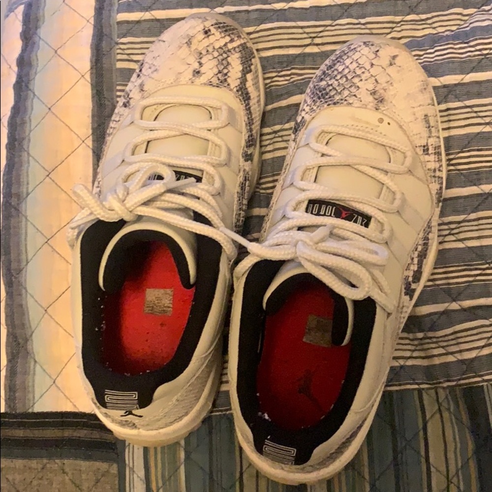 Jordan retro 11 snakeskins